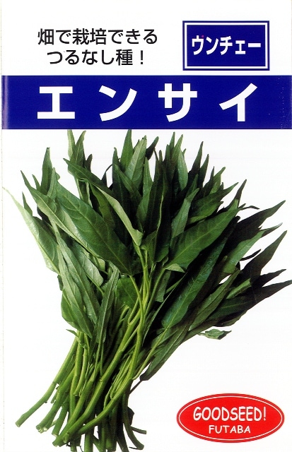 フタバ種苗 つるなしエンサイ[うちなー交配］【取り寄せ注文】【2026年春種予約商品】
