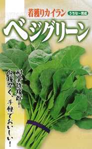 フタバ種苗 若穫りカイラン種子 ベジグリーン[うちなー交配］【取り寄せ注文】【2026年春種予約商品】