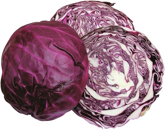 フタバ種苗 キャベツ種子 大玉紅藍[うちなー交配］【取り寄せ注文】＊種子有効期限2026年5月末 