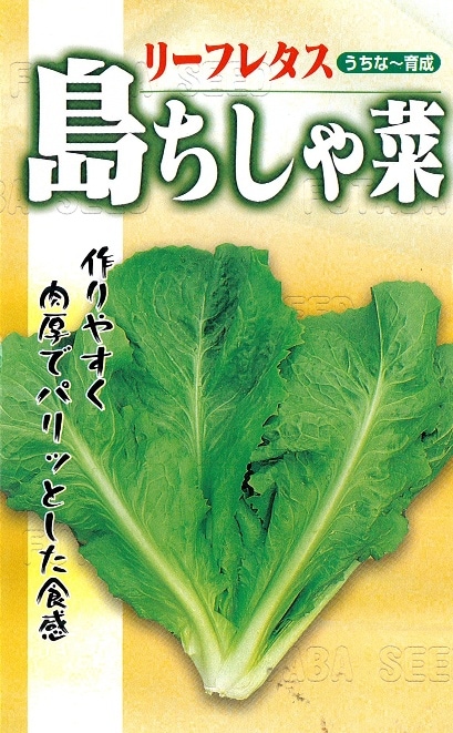 フタバ種苗 沖縄 島ちしゃ菜[うちなー交配］【取り寄せ注文】【2026年春種予約商品】