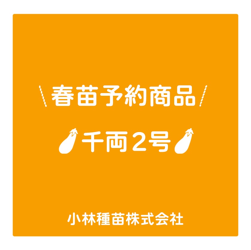 春野菜苗　ナス　千両二号　9.0cmポット×40本【2026年春苗予約】※3月下旬～出荷予定