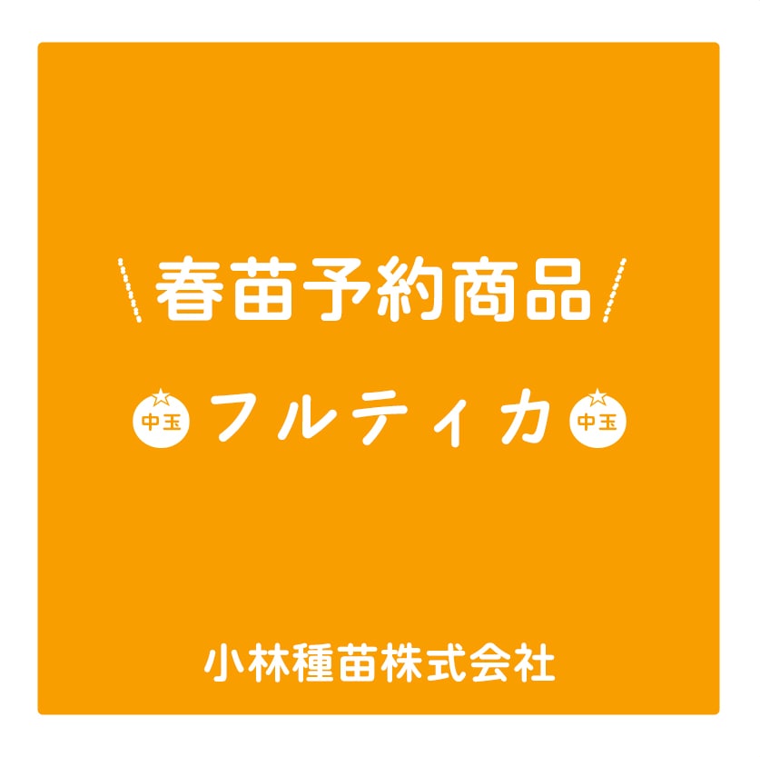 春野菜苗　トマト　フルティカ　9.0cmポット×40本【2026年春苗予約】※3月下旬～出荷予定　