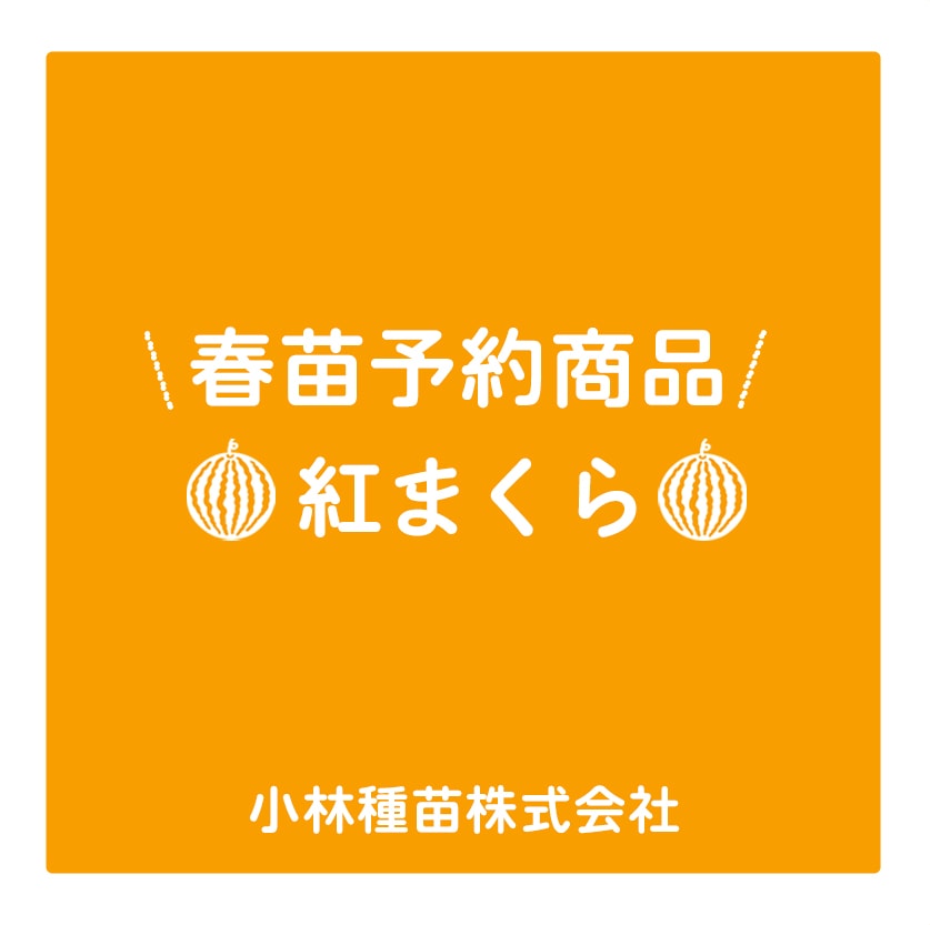 接木苗予約受付中　❗️‼️ 野菜苗 | 小林種苗公式通販