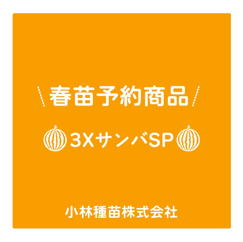 春野菜苗　種なしスイカ(接木)　3XサンバSP　9.0cmポット×40本【2026年春苗予約】※4月上旬～5月中旬出荷予定