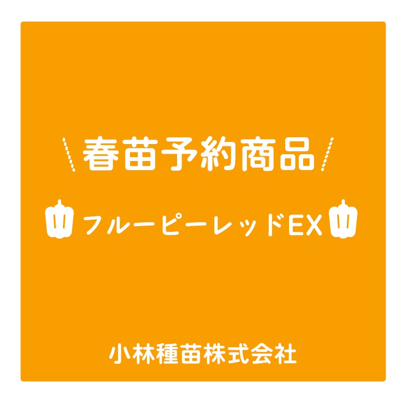 春野菜苗　ピーマン　フルーピーレッドEX　9.0cmポット×40本【2026年春苗予約】※4月上旬～5月下旬出荷予定
