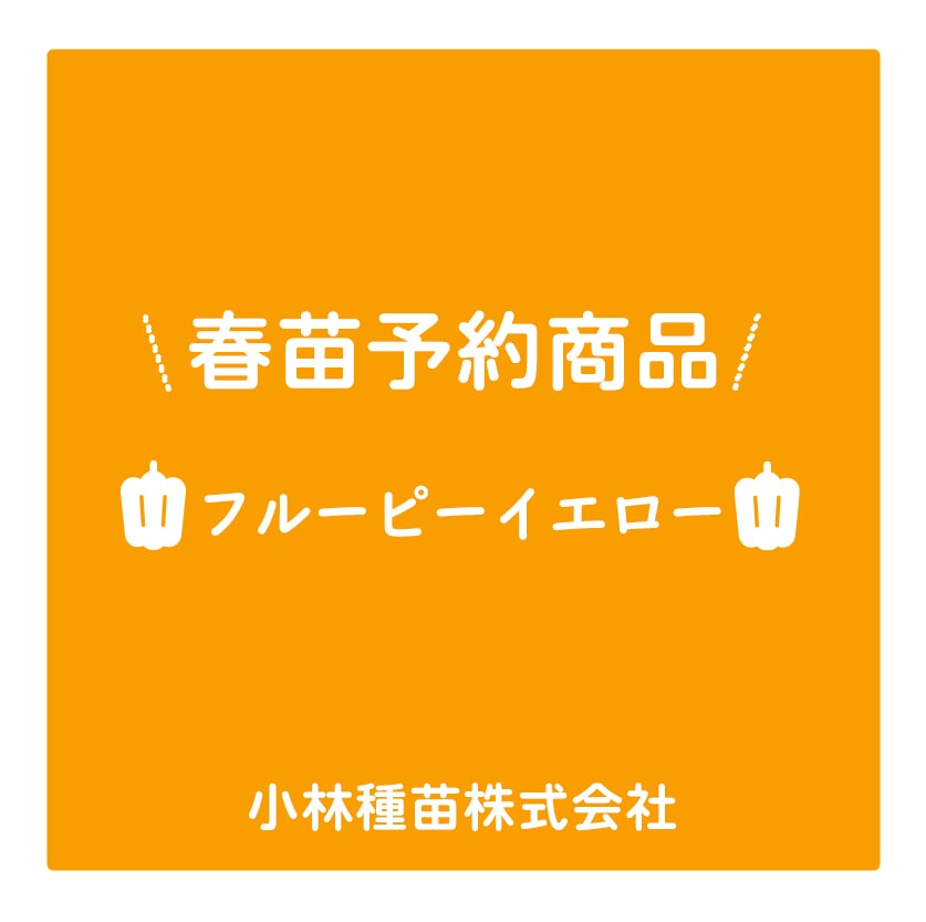 春野菜苗　ピーマン　フルーピーイエロー　9.0cmポット×40本【2026年春苗予約】※4月上旬～5月下旬出荷予定