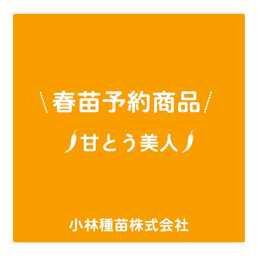 春野菜苗　トウガラシ(実生)　甘とう美人　9.0cmポット×40本【2026年春苗予約】※4月上旬～5月下旬