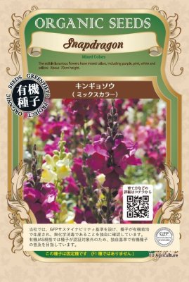 GFP[A463]キンギョソウ　金魚草　食用花　ミックスカラー(0.1g)【有機種子・固定種】＊種子有効期限2026年11月末