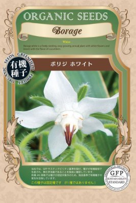 GFP[A641]ボリジ　ホワイト(15粒)【有機種子・固定種】＊種子有効期限2025年11月末