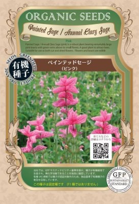 GFP[A552]ペインテッドセージ(ピンク)(250粒)【有機種子・固定種】