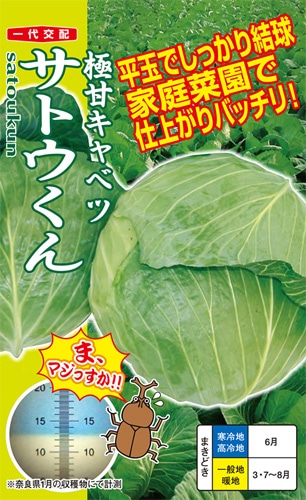 ナント種苗 キャベツ種子 サトウくん【取り寄せ注文】＊種子有効期限2026年2月末