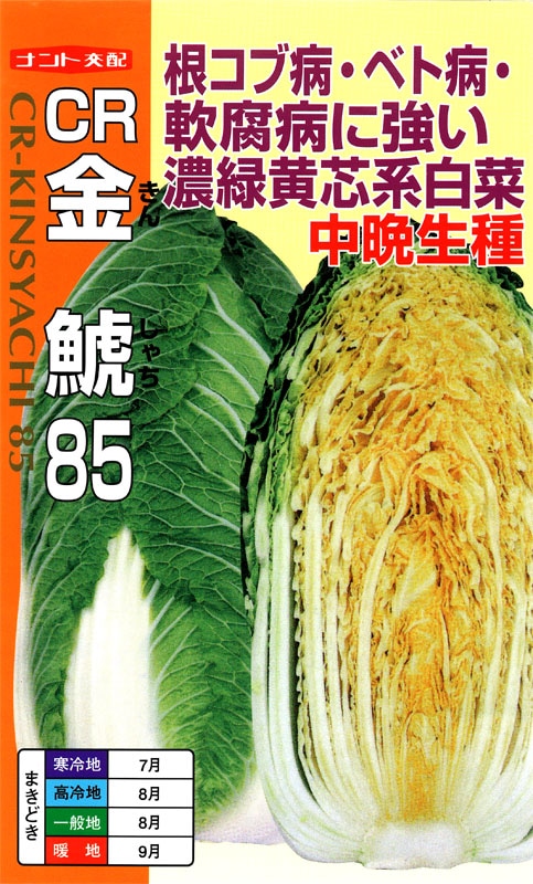 ナント種苗　ハクサイ種子　CR金鯱85【取り寄せ注文】