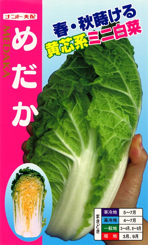ナント種苗 ハクサイ種子 めだか【取り寄せ注文】【2025年秋種予約商品】※6月～入荷予定