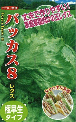 ナント種苗 玉レタス種子 バッカス8【取り寄せ注文】