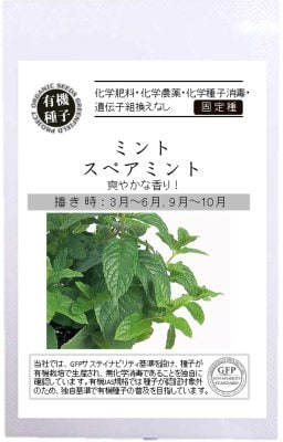 GFP[A639]ミント＜スペアミント＞(0.01ｇ)【有機種子・固定種】＊種子有効期限2024年11月末