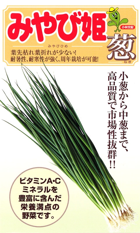 小林種苗 ネギ種子 みやび姫葱【秋種予約商品】※8月中旬～入荷予定