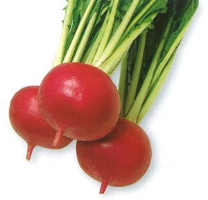 タカヤマシード　カブ種子　ＣＲ若紅【取り寄せ注文】