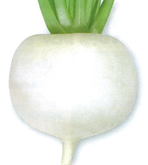 タカヤマシード　カブ種子　CR京の味【取り寄せ注文】