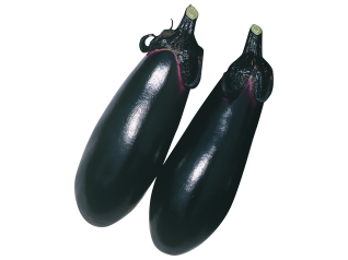 武蔵野種苗園　ナス種子　改良千黒