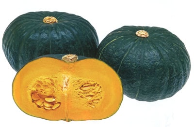 武蔵野種苗園　カボチャ種子　味浪漫【取り寄せ注文】