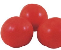 武蔵野種苗園 トマト種子 花吹雪【取り寄せ注文】