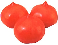 武蔵野種苗園 トマト種子 セレナーデ【取り寄せ注文】