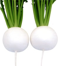 武蔵野種苗園 カブ種子 CR白雪【取り寄せ注文】