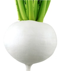 武蔵野種苗園 カブ種子 CR大政【取り寄せ注文】【品薄】＊種子有効期限2026年5月末