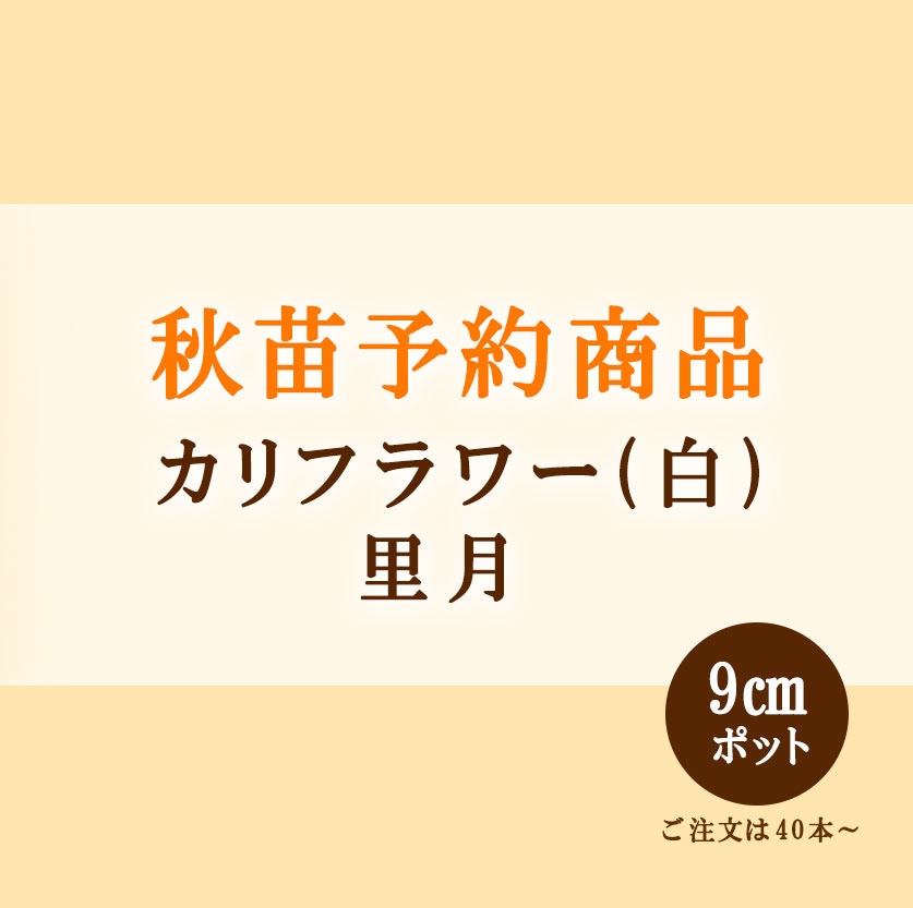 チー太郎さま ご予約苗 野菜苗 | 小林種苗公式通販
