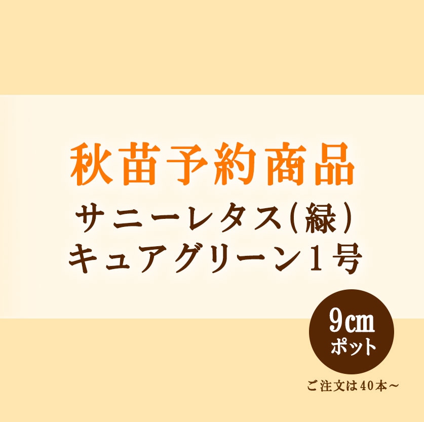 野菜苗 | 小林種苗公式通販