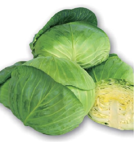 丸種 キャベツ種子 冬盛【取り寄せ注文】※秋のみ商品 ＊種子有効期限2026年5月末