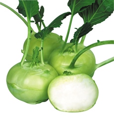 丸種 コールラビ種子 フラン【取り寄せ注文】＊種子有効期限2026年5月末