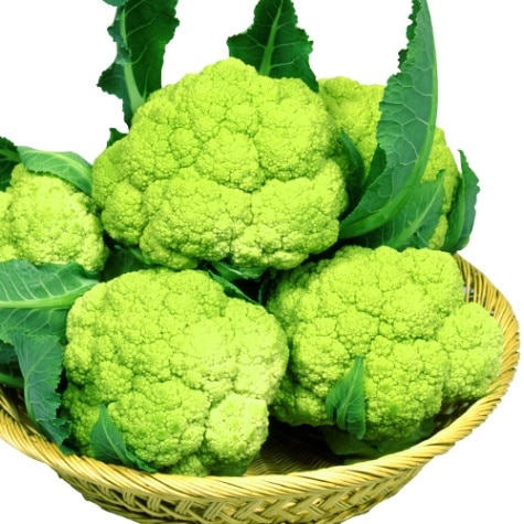 丸種 カリフラワー種子 連峰【取り寄せ注文】