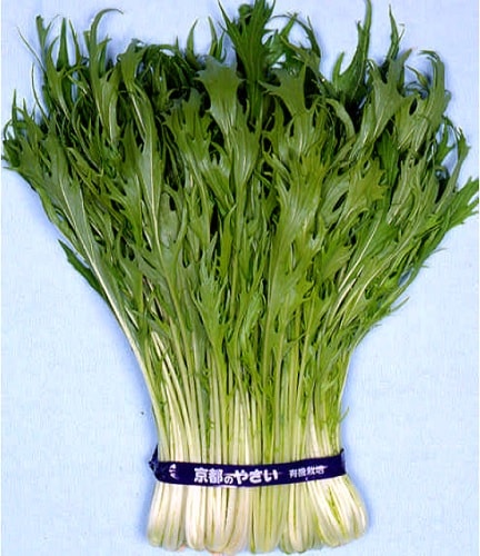 <{$ranking_item.list[i].name}>