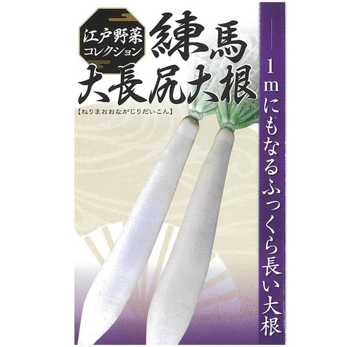 日本農林社　ダイコン種子　練馬大長尻※秋まき商品