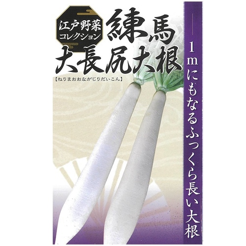 日本農林社　ダイコン種子　練馬大長尻
