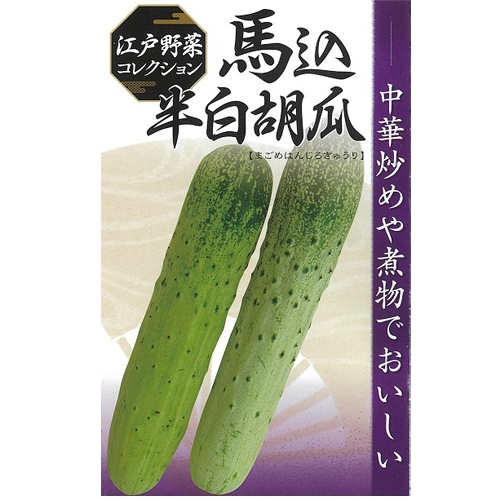 日本農林社　キュウリ種子　馬込半白【取り寄せ注文】*種子有効期限2025年9月末