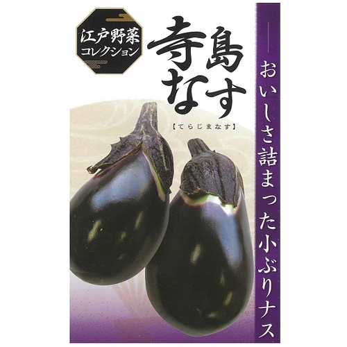 日本農林社　ナス種子　寺島【取り寄せ注文】＊種子有効期限2024年8月末