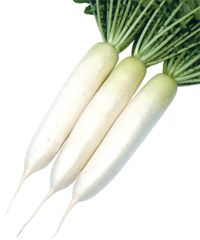 雪印種子　ダイコン種子　晩々G【取り寄せ注文】