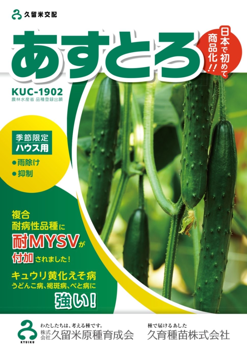 久留米原種育成会　キュウリ種子　あすとろ