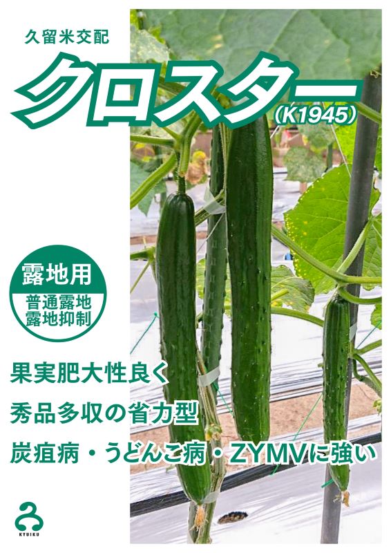 久留米原種育成会 キュウリ種子 クロスター【取り寄せ注文】