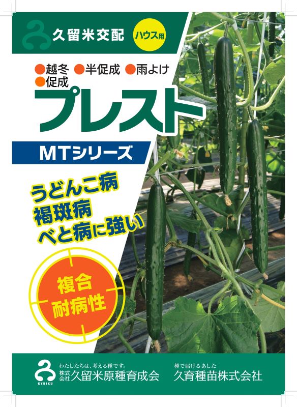 久留米原種育成会 キュウリ種子 プレスト【取り寄せ注文】