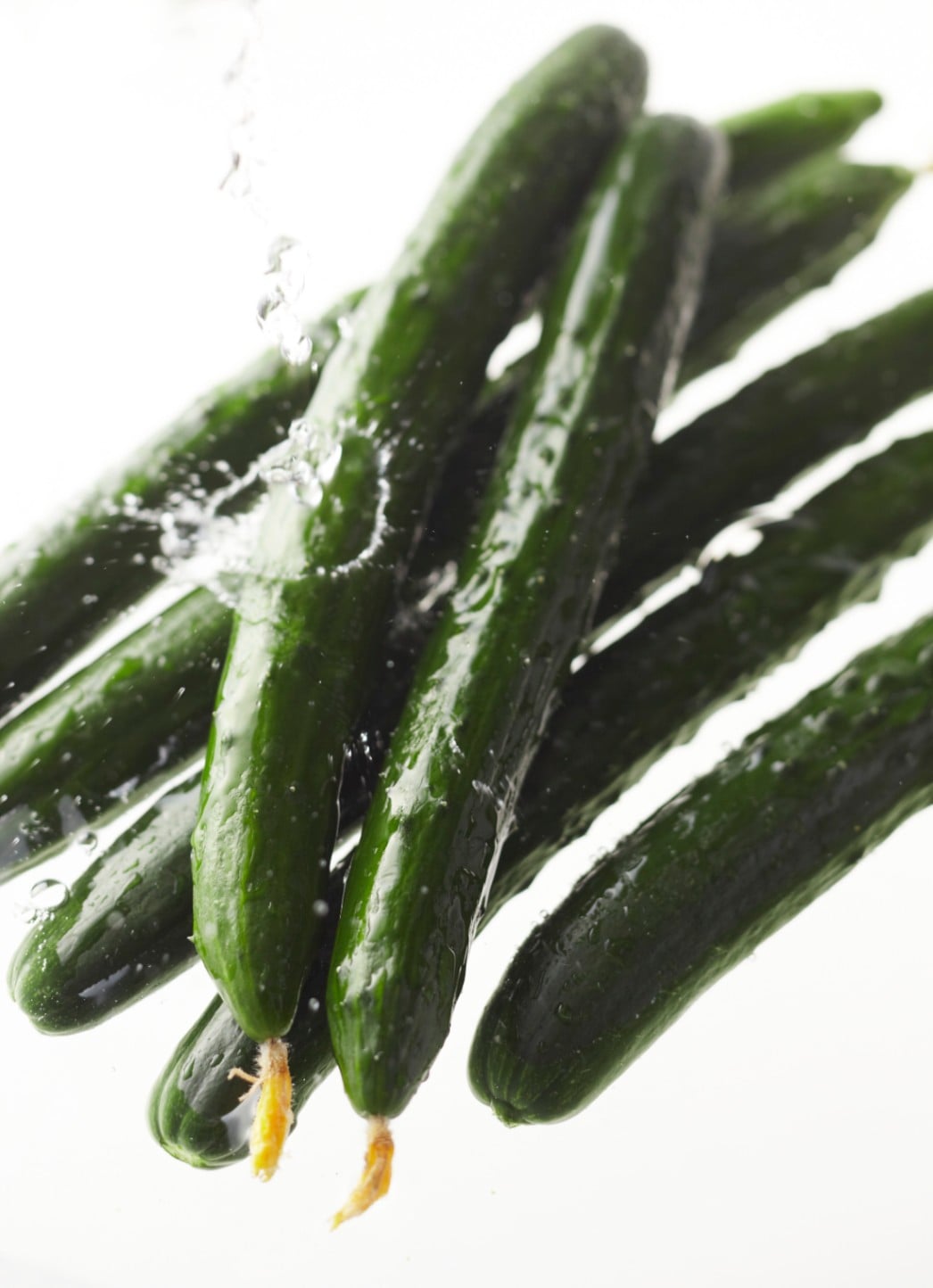 久留米原種育成会 キュウリ種子 ビュースター935【取り寄せ注文】