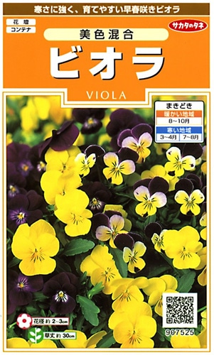 サカタのタネ　実咲200　ビオラ　美色混合　小袋[907525]【取り寄せ注文】※秋のみ商品【2025年秋種予約商品】