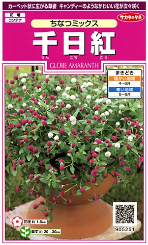 草花種子（小袋）,千日紅 | 小林種苗株式会社