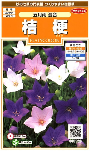 サカタのタネ 実咲200 桔梗 五月雨 混合 小袋[907120]【取り寄せ注文】※通年商品【2026年春種予約商品】 