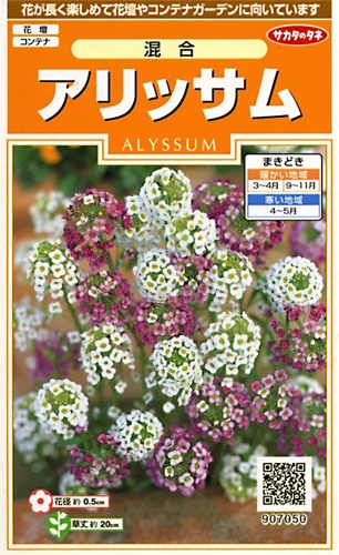 サカタのタネ アリッサム混合 小袋[907050]【取り寄せ注文】※通年商品【2026年春種予約商品】