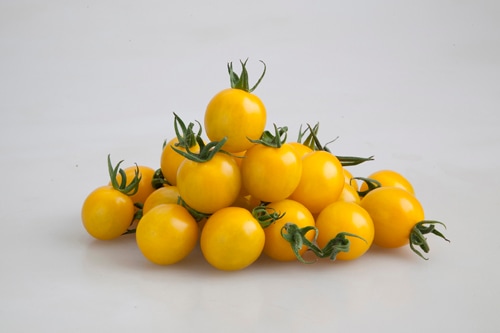 カネコ種苗　ミニトマト種子　イエローミミ【取り寄せ注文】【2026年春種予約商品】