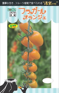 <{$ranking_item.list[i].name}>