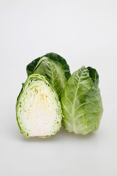 カネコ種苗　キャベツ種子　ユニコーン【取り寄せ注文】【2026年春種予約商品】